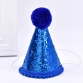 Detail showing blue glitter party hat with fluffy pompom and elastic strap for pets - Lace Sequin Hat / Dark Blue