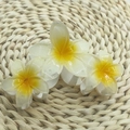 Three translucent candy-colored frangipani hair claws on a woven mat background - Triple Plumeria [White Yellow Center]