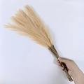 55cm beige faux pampas grass bouquet for Nordic boho home decoration, 15 stems - 53-55cm / Beige Red