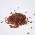 Braunes PVC Kunst-Reiskorn für DIY Bastel-Essensmodell-Requisiten in 500g Großpackung - 500.00g / Braun