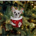 Cute Chihuahua puppy in a red festive Christmas stocking hanging ornament for trees - 21-Chihuahua