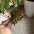 Close-up of translucent olive green pumpkin hair claw clip made of polished resin - Medium(Approx 7cm) / Jelly Yellow Green