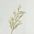 Sparkling gold glitter artificial leaf branch for Christmas festive party decoration - 42cm Pine Branch
