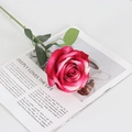 Single deep pink velvet artificial rose with gradient petals on an open magazine - Large Velvet Deep Pink