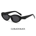 Ovale Cat-Eye Sonnenbrille mit schwarzem Rahmen und schwarz-grauen Gläsern C1 - Schwarzer Rahmen Schwarz Graue Gläser