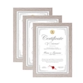 Three-piece solid wood certificate frames in light grey wood grain on white background - A4 Size / Gray