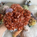 Close-up of handmade copper wire crystal money tree with orange natural stone leaves - Red Agate