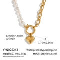 Yyn025243