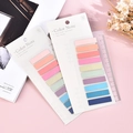 Morandi-Farben 10-Farben PET Index-Tabs Set mit 14cm Lineal auf rosa Schreibtisch - Bunter Sommer