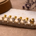 G23 titanium flat back studs with gold plating and cubic zirconia in 6 floral designs - Paw Print Style (3#) / Gold