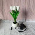 Elegant white tulip LED night light with six flowers in a ceramic pot for bedroom decor - 6 Heads-White-Plug-in Style