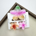 Drei-teiliges Set Haarklammern mit Frangipani-Blüten in Rosa-, Orange- und Gründekor - Regenbogen Frangipani Stil 2