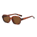 Tortoise Shell Frame