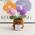 Handmade knitted pink and purple tulip plant with emotional support message card - Chubby Tulip - Purple Series