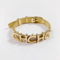 Golden titanium steel mesh watch strap bracelet with CHCHC letter charms and pin buckle - 359-6 Gold Bangle (359-6 Gold)