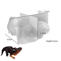 3D raptor silicone mold for resin DIY dinosaur pendant with detailed texture and clear base - Velociraptor