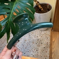 Macro view of 15cm forest green shark hair clip with a glossy finish for thick hair - Butterfly Back Style / Extra Large (Approx. 15cm) / Dark Green