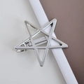 Nahaufnahme der silbernen Stern-Haarklammer mit Metallstruktur und Federdesign - Hohler Stern / Silber