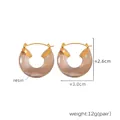 Golden titanium steel hoop earrings featuring translucent amber resin charms - F1151 Clear Resin Hoop