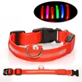 Red LED dog collar with USB charging port and adjustable nylon webbing in size small - XS-Charging / Red