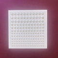 Adesivi di perle bianche di varie dimensioni per trucco fai-da-te e decorazione unghie - 165 Pezzi Perla Bianca Pura