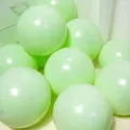 20pcs 10 inch light green matte latex balloons for wedding and party decoration - Macaron Green