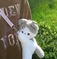 Cute grey and white plush cat crossbody bag with a purple strap worn outdoors - Purple Cat