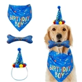 Blue dog birthday party kit including hat, bone toy, and birthday boy bandana scarf - Pet Birthday Party - Dog Bone 4-piece Set - Blue Universal