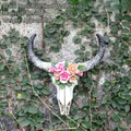 Resin bull skull wall decor with 3D floral accents, size 16.5x17.5cm, vintage style - Black Horn Rose Bull