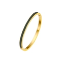 Titanium steel gold bangle with dark green enamel inlay and side hinge closure - 5mm / Dark Gray