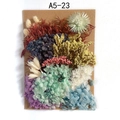 Preserved dried flower DIY craft kit A5-23 with colorful hydrangeas on brown cardboard - Flower Pack No.23