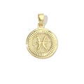 Macro shot of 18k gold plated Pisces zodiac pendant with radial textured edges - Pisces (YE040-12)