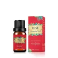 10ml Pure Rose Essential Oil in brown glass bottle with decorative red gift box - Rose Oil