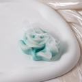 Gradient Lake Green Rose (KY-113)