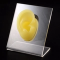 Yellow silicone ear model on transparent acrylic display stand for earring jewelry showing - Yellow Right Ear