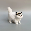 Cat with Black Head Patch