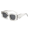 Modern geometric sunglasses in transparent grey frame with dark grey lenses - Transparent Grey Frame Grey Lens