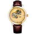 Skeleton automatic mechanical watch with gold case and brown leather strap for men - Two-tone Gold Gold Dial (Brown Leather Strap)