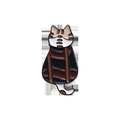 Getigerte Streifen Katze Rückansicht Stil (QHXZ409)