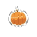 Macro shot of pumpkin shaped stainless steel cookie cutter with decorated pumpkin biscuit - Pumpkin 7257
