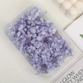 Preserved purple hydrangea petals in clear plastic box for DIY crafts and wedding decor - 5g / Lavender
