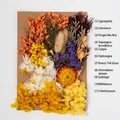 Assorted dried flowers kit including Gypsophila and Statice for DIY handmade crafts - Flower Pack A19