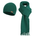 Winter knitted beanie and scarf set in dark green with ribbed texture and long tassels - Green (2-Piece Set)