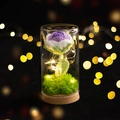 Rose fatte a mano all'uncinetto viola e bianche in cupola di vetro con luci LED e sughero - Rosa Viola Sfumata