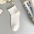 White breathable mesh cotton crew socks for men with comfortable ribbed texture cuff - One Size / White