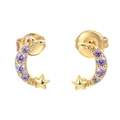 Exquisite 18K gold plated moon and star stud earrings with purple micro-paved crystals - Purple