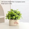 Realistic artificial eucalyptus plant in a round white ceramic pot with red text detail - Eucalyptus Leaf - Life Potted Artificial Flower Ornament