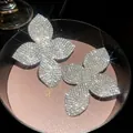 Elegantes pendientes de mariposa con circonitas brillantes en fotografía macro de lujo - Plata (Pin de plata)