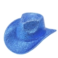Close-up of shiny blue sequins on wide brim cowboy hat for party performance - M(56-58cm) / Blue