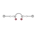 Silbernes Industrial-Barbell aus Edelstahl mit roten Blumenanhängern und Kettendetail - Doppelblumen Stil(ZN2312260015)